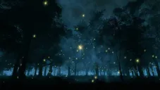 La UNAM invita al Festival de Luciérnagas con actividades gratuitas