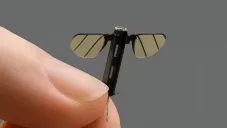 China revela microdron espía del tamaño de un mosquito: nueva arma furtiva