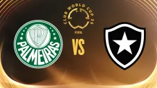 Palmeiras vs Botafogo
