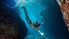 Curso de Sirenas en CDMX: Te enseñarán a nadar con cola como en los cuentos