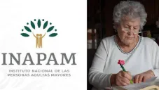 Credencial INAPAM: quiénes pueden registrarse en agosto para recibir apoyo de hasta 3 mil pesos bimestrales