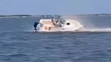 Muere una ballena tras chocar contra un bote en Nueva Jersey; un pasajero cayó al agua