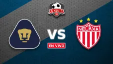 Pumas vs Necaxa EN VIVO Liga MX Apertura 2025 Jornada 4