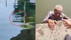 El señor parecía no tener miedo ni ser la primera vez que se aventaba.