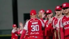 Diablos Rojos Serie de Zona Juego 3