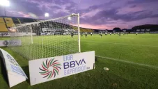 Presidente de Leones Negros 'celebra' fallo del TAS: &quot;dieron la certeza que volverá el Ascenso&quot;