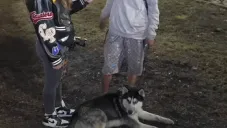 Perrito héroe salva a su dueño segundos antes de la explosión en Iztapalapa