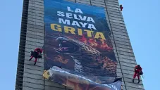 Activistas de Greenpeace escalan la Estela de Luz para defender la Selva Maya