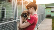 Día Mundial del Perro Adoptado: Cómo encontrar a tu nuevo compañero de vida