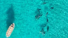 BC sobresale en financiamiento sostenible: Daniel Madariaga Barrilado