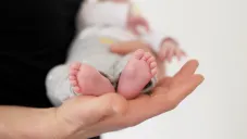 Entre 2023 y 2024 hubo 18 abandonos; en lo que va del 2025 son 8.