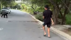 Correa se encuentra con oso