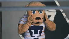 ¡Sí baja, Goyo sí baja! Captan a la mascota de Pumas bailando reggaeton