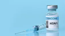 ¿Cuándo inicia la campaña de vacunación contra la influenza en México?