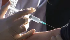 Vacuna BCG disponible en México: cómo y cuándo aplicarla a tu hijo