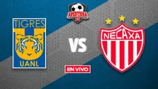 Tigres vs Necaxa EN VIVO Liga MX Jornada 13 Apertura 2025
