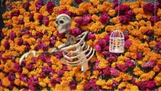 Habrá altares, instalaciones artísticas, visuales y performativas.