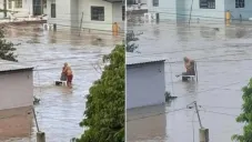 Murió doña Elodia, la mujer que conmovió a México al sobrevivir abrazada a su esposo en Veracruz