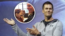 ¡Futurista! Tom Brady clona a su mascota dos años después de su muerte