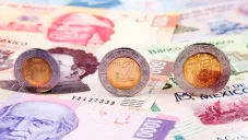 Por el momento, no han dado a conocer la cara nueva de la morralla.