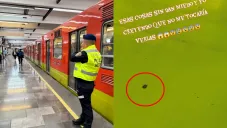 El amigo de seis patas fue captado en un asiento junto a otra pasajera.