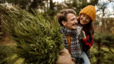 Árboles de Navidad 2025 en el Estado de México: dónde comprarlos y cómo elegirlos