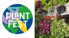Regresa el Plant Fest a CDMX: evento gratuito para amantes de plantas y proyectos eco