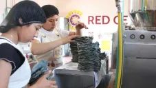 Presentan las tortillas del Bienestar: ¿Cuánto costará el kilo?