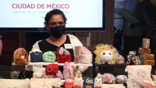 El programa tendrá una inversión de 500 millones de pesos.