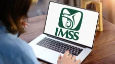 Tarjetón Digital IMSS 2025: cómo obtenerlo y qué trámites puedes hacer
