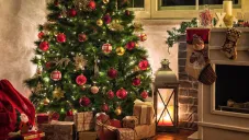 Árbol natural o artificial: lo que debes saber antes de elegir tu árbol navideño