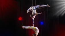 Megacirco Navideño 2025: fechas, horarios y cómo asistir gratis