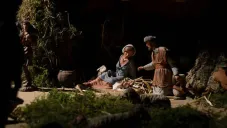 UNAM pide no usar musgo natural en decoraciones navideñas: estas son las razones