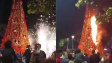 Encendido navideño termina en incendio de árbol en Bahía de Banderas, Nayarit | VIDEO