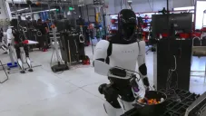 Las piezas podrían ser vendidas para ayudar en las labores domésticas.