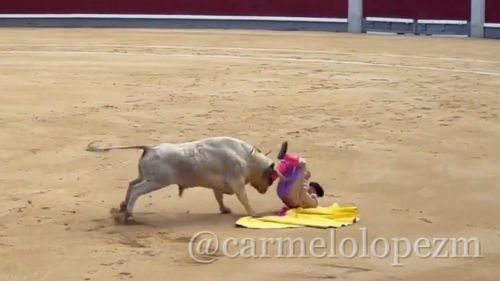 Torero Jesús Moreno resulta gravemente herido por cornada en Feria de la Comunidad de Madrid