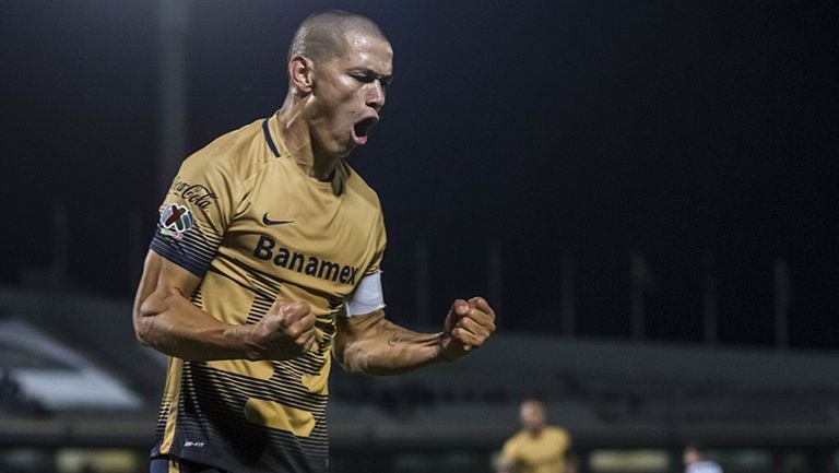 Darío Verón festeja un gol