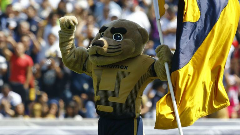 Goyo, la mascota de Pumas, ondea una bandera del equipo