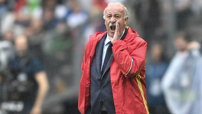 Vicente del Bosque da indicaciones en partido de España