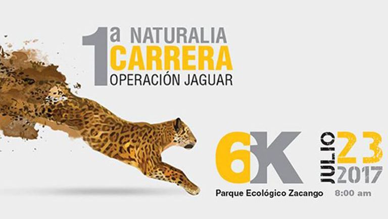 1era Carrera Naturalia 6k Operación Jaguar