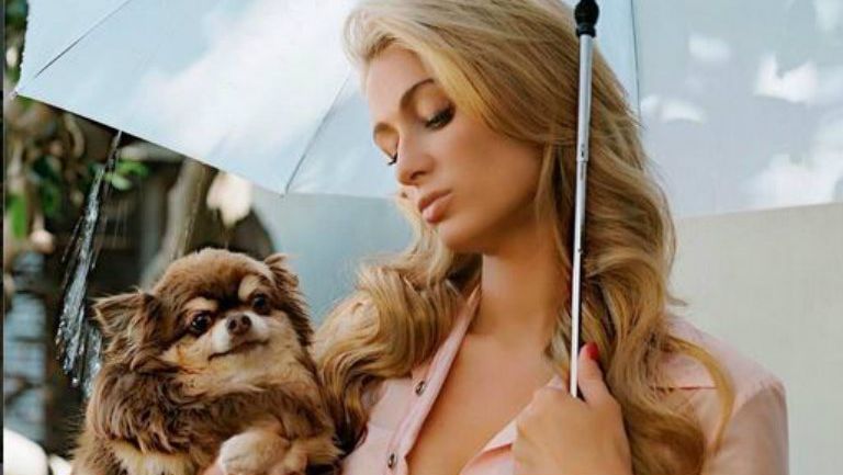 Paris Hilton junto a uno de sus perros