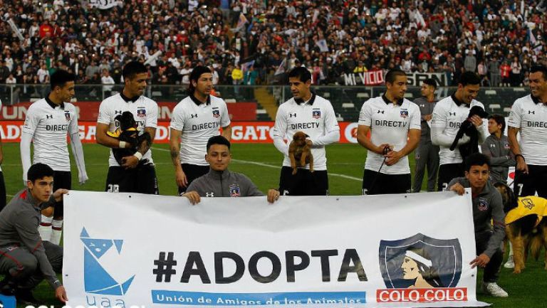 Los jugadores de Colo Colo con los perros en el juego con Antofagasta