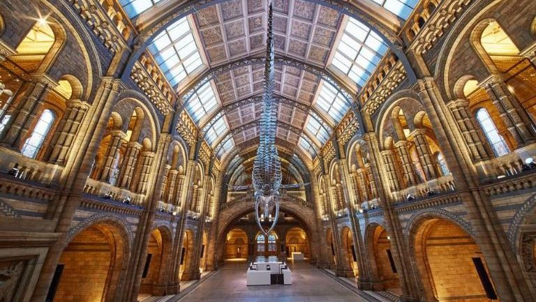 Una de las salas del Museo de Historia Natural de Londres