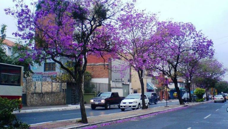 Una calle de Paraguay