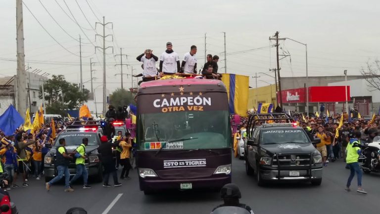 Tigres durante el desfile para celebrar sexto campeonato