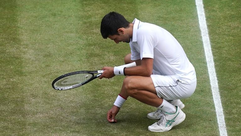 Djokovic arranca un pedazo de pasto de la cancha central de Wimbledon