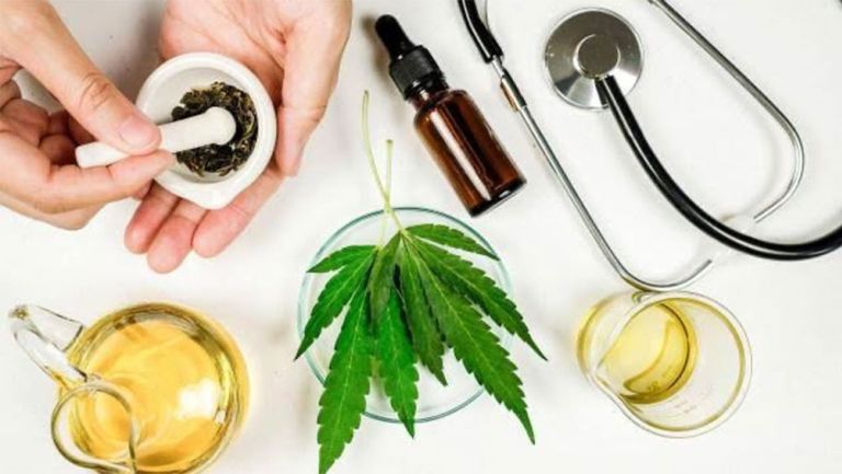 La planta del cannabis es parte de la medicina moderna 