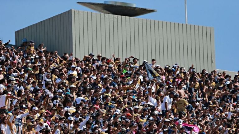 Aficionados de Pumas en un partido en C.U.