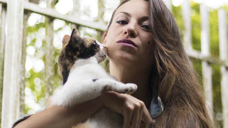 ¿Buscas trabajo? Empresa paga 163 mil pesos sólo por abrazar gatos