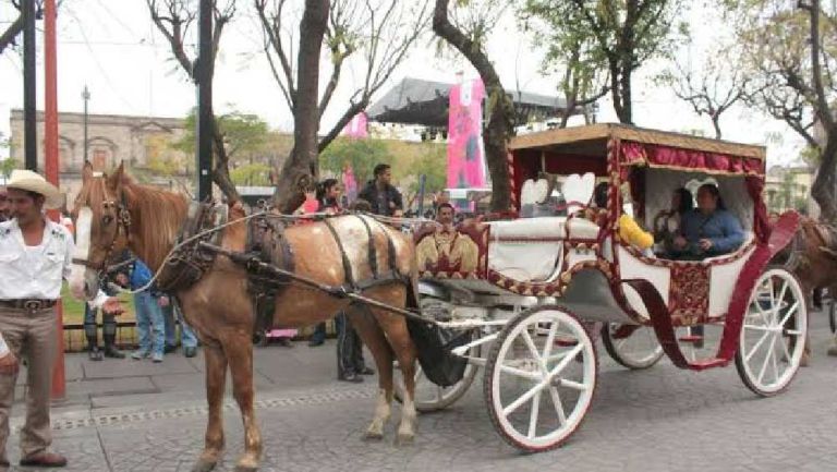 ¡Ya no más calandrias jaladas por caballos en Guadalajara! 